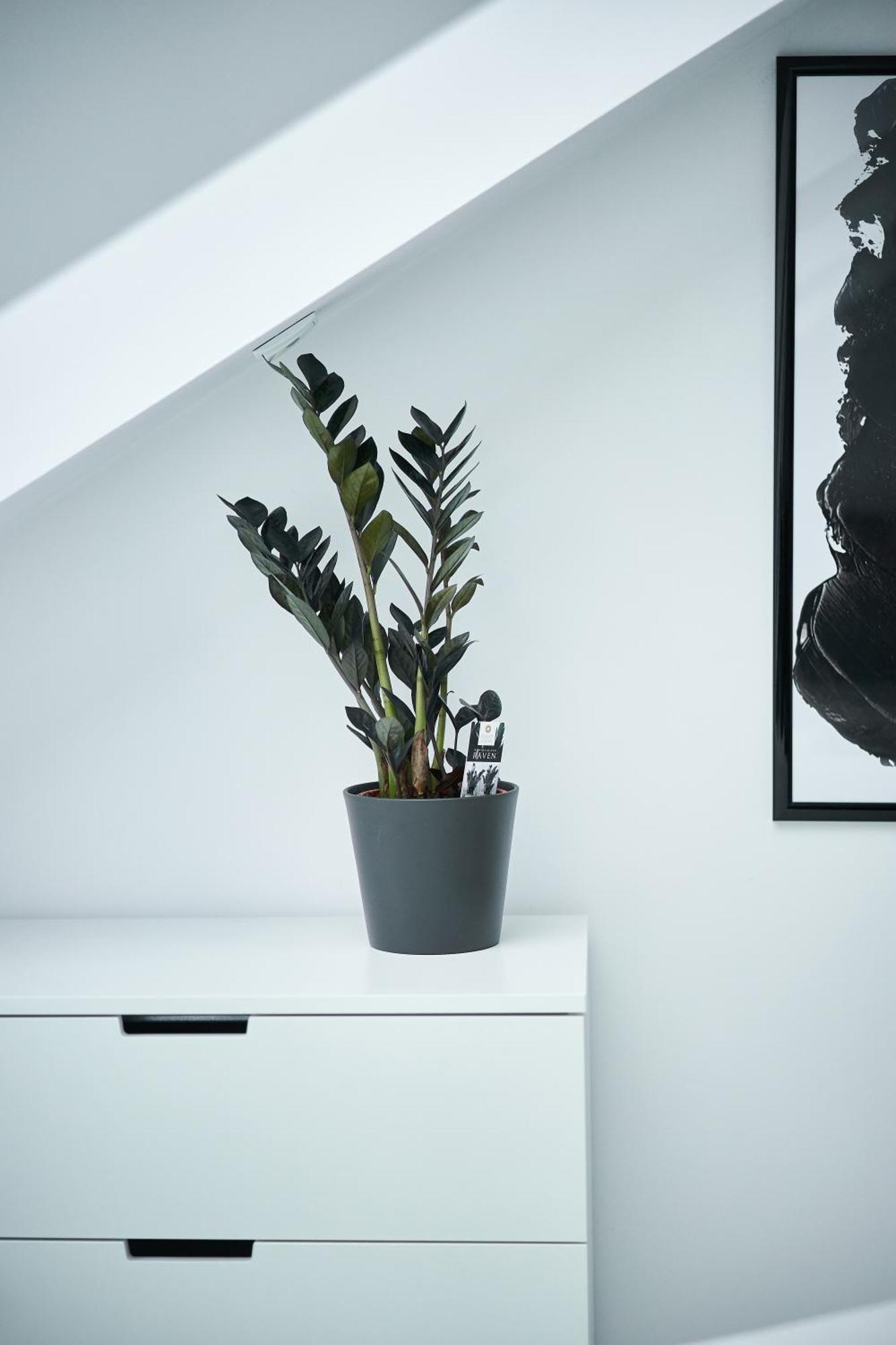 Unique Design Loft In Middle Of Centre Of Old Town With Netflix Διαμέρισμα Krasków Εξωτερικό φωτογραφία